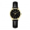 SR SL10050.4601PL P-LIGHT
